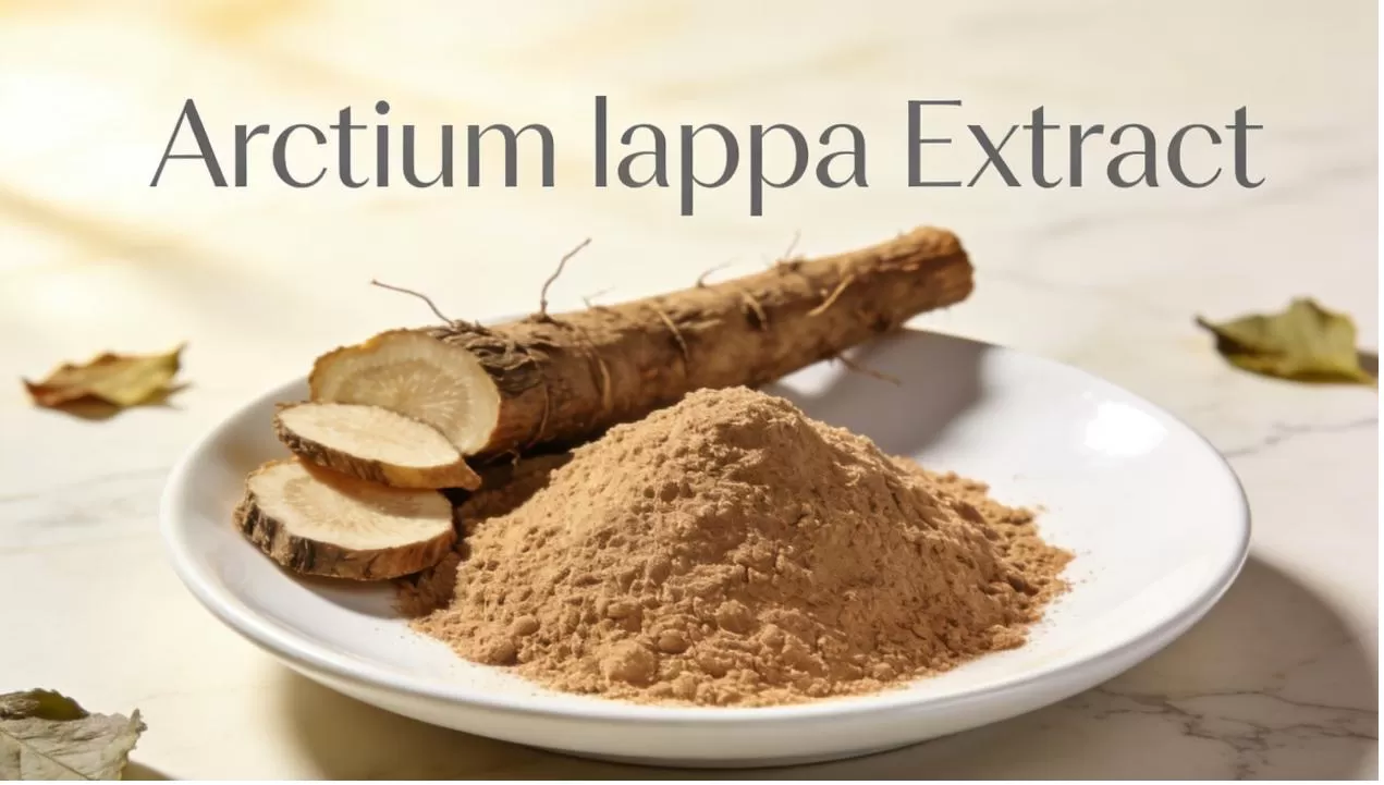 Arctium Lappa Extract