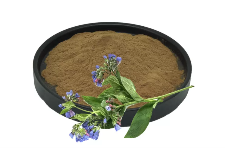 Onosma Bracteatum Extract