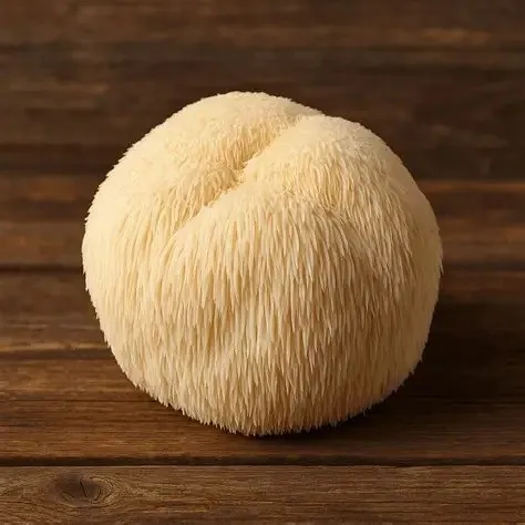 ​Lion's Mane Mushroom Extract