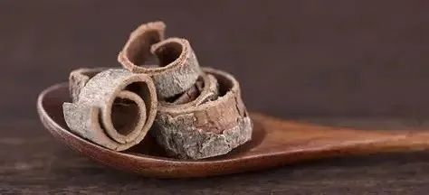 Magnolia Bark Extract 