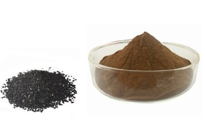 Black Seed Extract