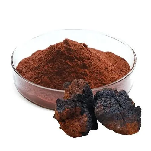 Chaga Mushroom Extract