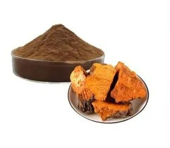 Chaga Mushroom Extract