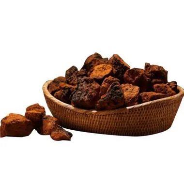 Chaga Mushroom Extract