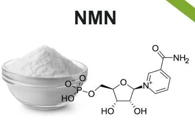 NMN (Nicotinamide Mononucleotide)