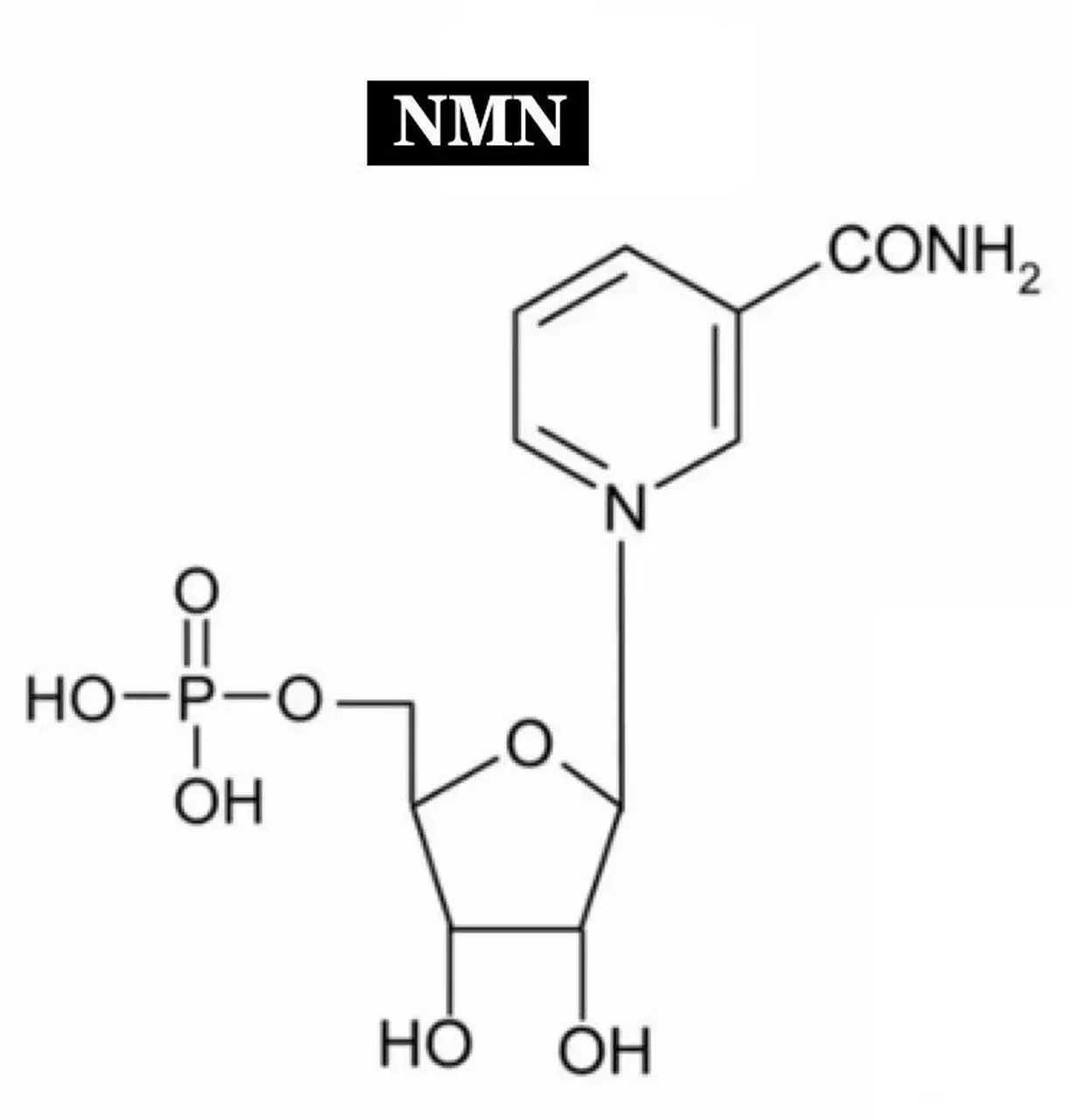 NMN (Nicotinamide Mononucleotide)