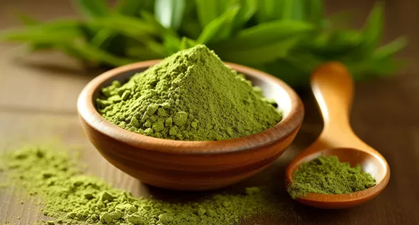 Green Tea Extract: The Complete Guide to Nature's Best