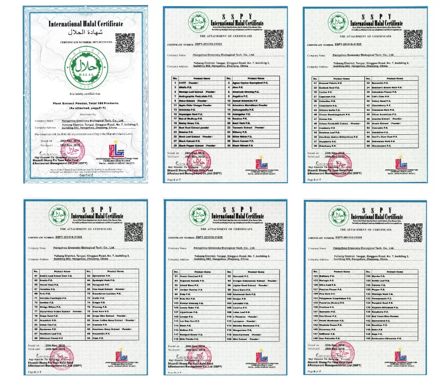 2445c93dcb82aace20cc6217b9db26b9.png