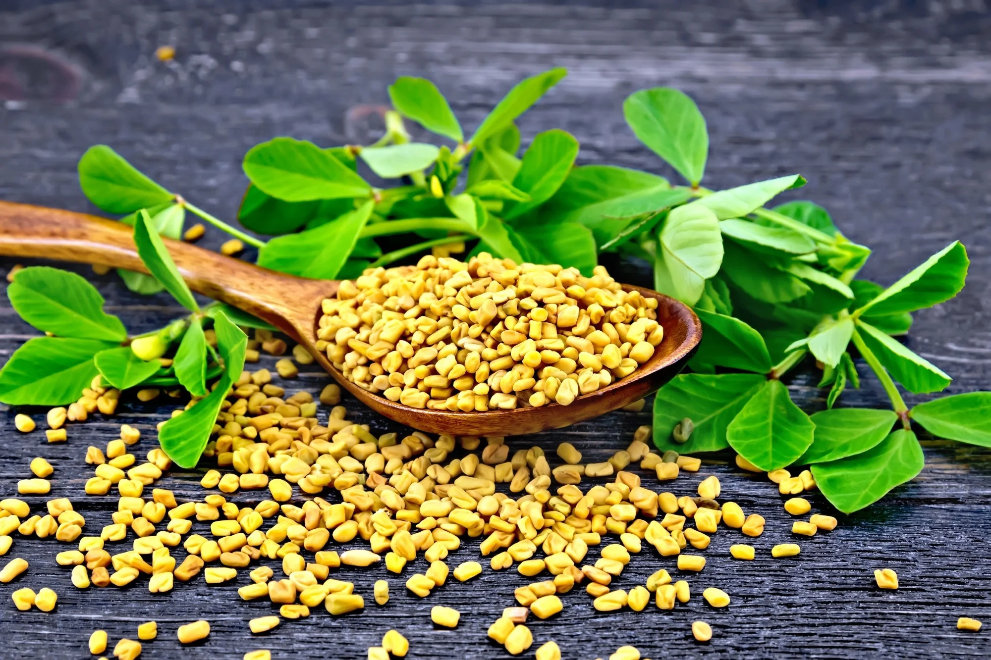 Fenugreek: Nutritional Information, Health Benefits and Recipes