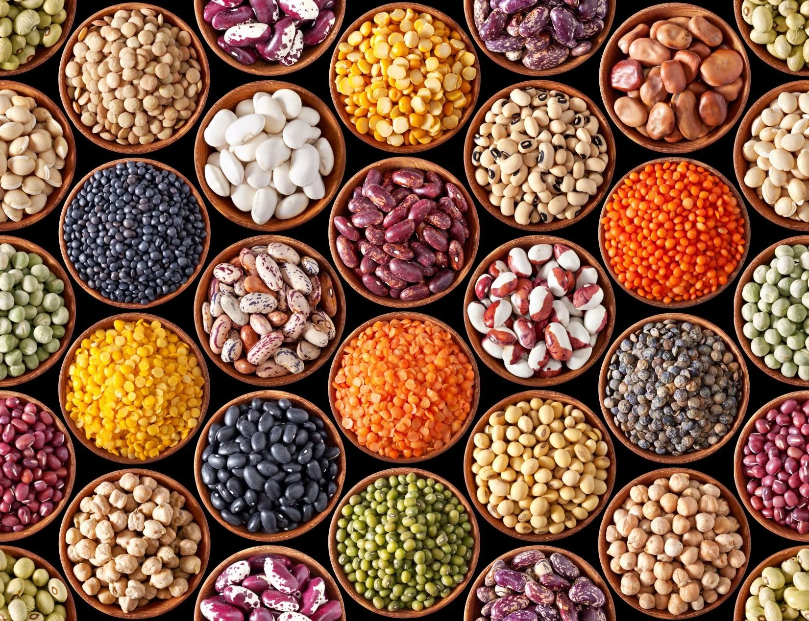Beans: Nature's Versatile Superfood for Health and Longevity