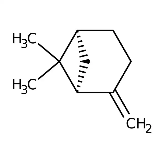 The Aromatic and Healing Potential of Beta-Pinene