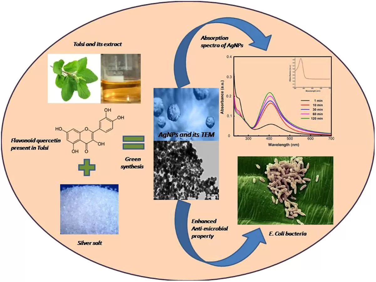 What is Whole Plant Extract? A Comprehensive Exploration