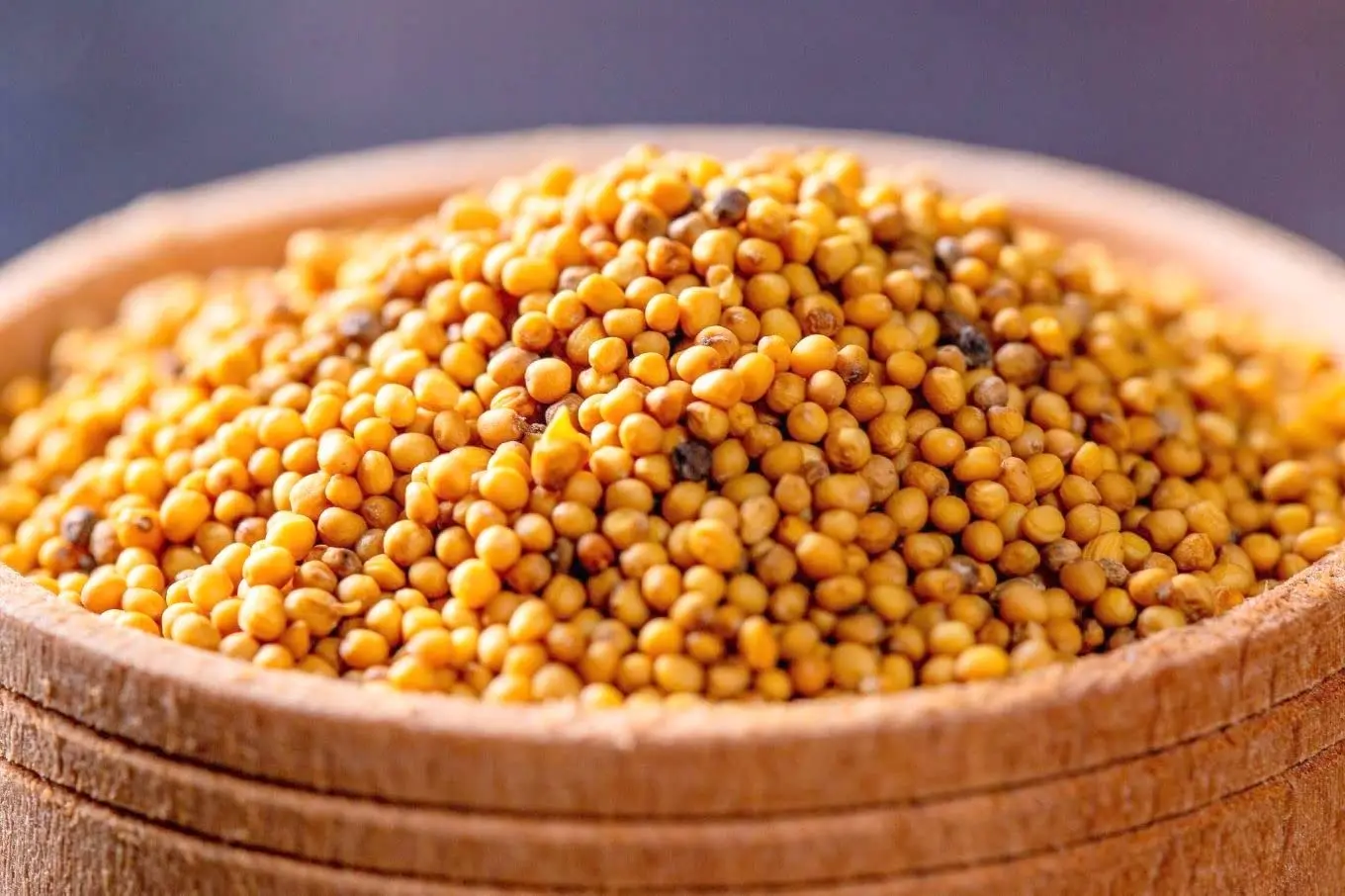 Mustard Seeds: Nutritional Powerhouses with Surprising Health Benefits  