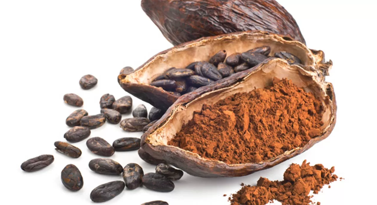 Cocoa Extract Reduces Inflammation: A Promising Tool for Healthy Aging  