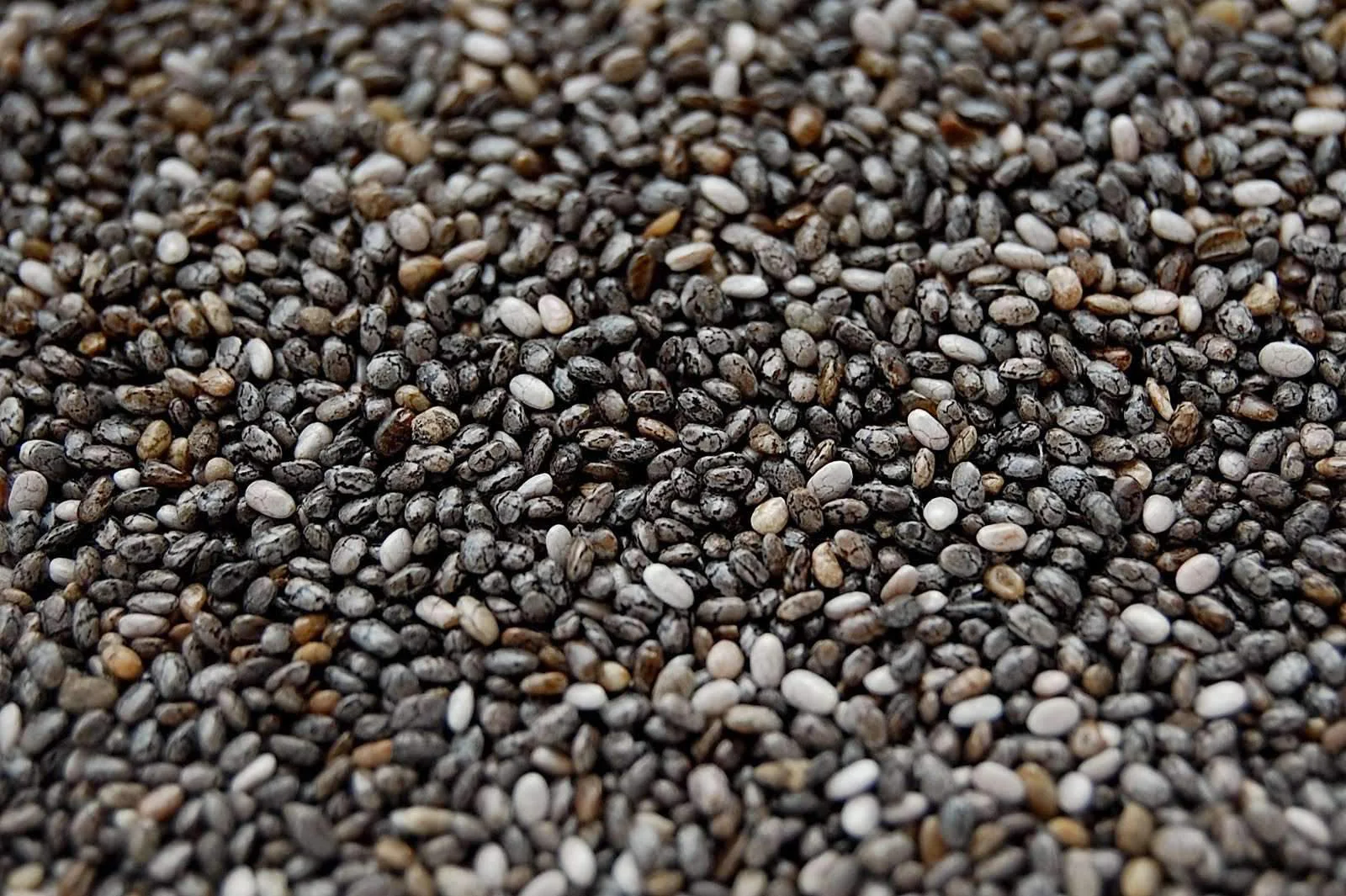 Maximizing Energy: The Best Times and Ways to Incorporate Chia Seeds into Your Diet