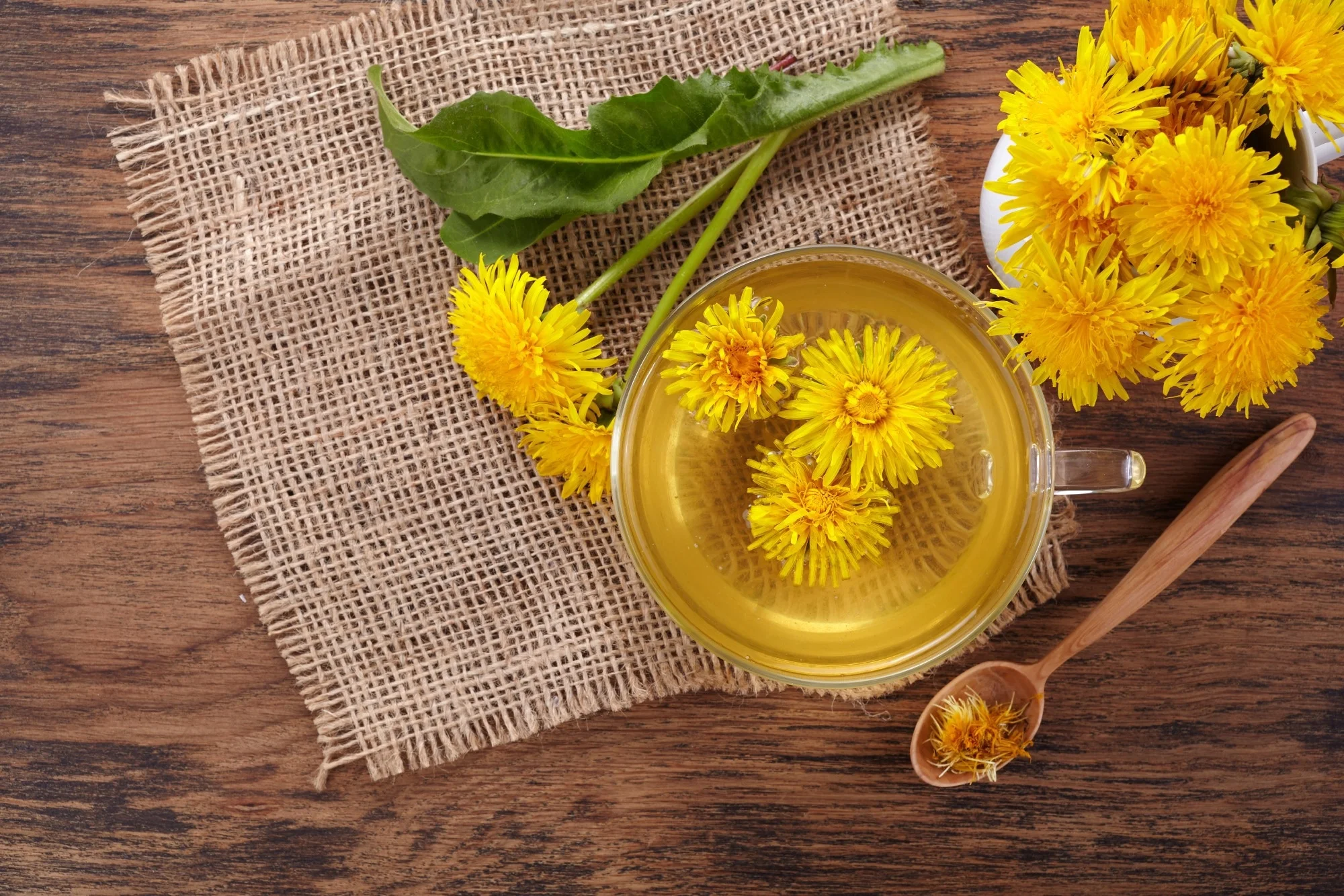 Dandelion Extract: A Potent, Shelf-Stable Ally for Health Su