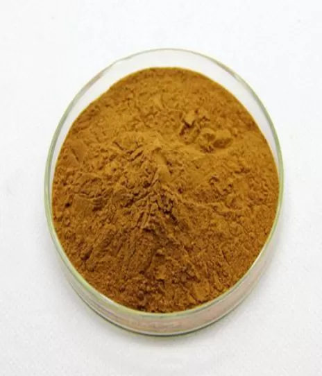 Green Tea Extract Ultimate Guide: Benefits, Applications, and Sourcing from a Trusted Supplier