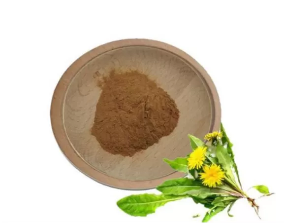 A Comprehensive Guide to Dandelion Extract