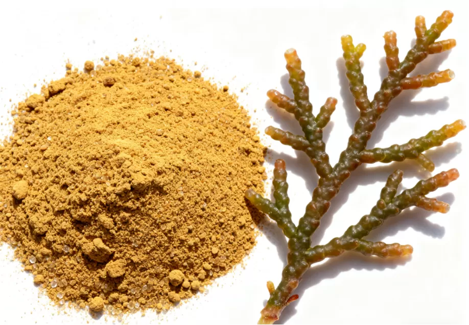 906e13a19ac3b946efaf04987a539d3c.png 906e13a19ac3b946efaf04987a539d3c.png