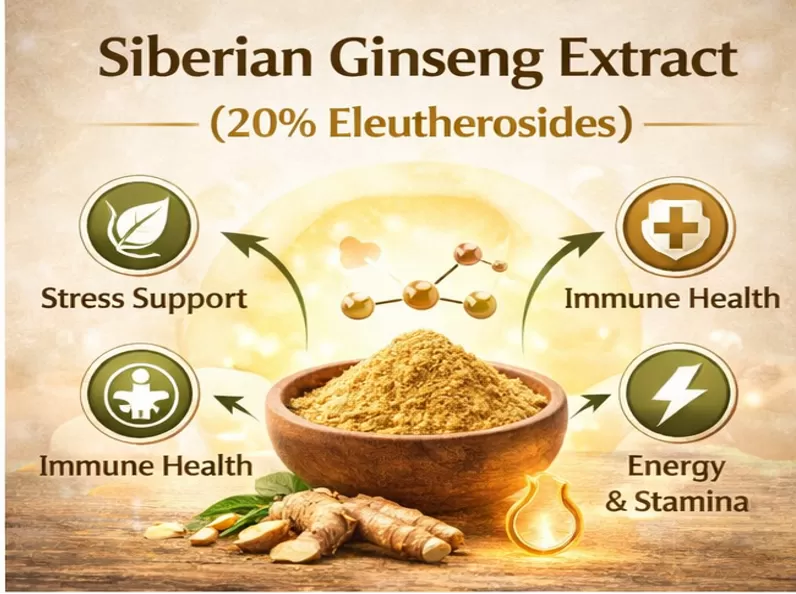 65476d993b7f5b91daf566bc922a7fde.png 65476d993b7f5b91daf566bc922a7fde.png